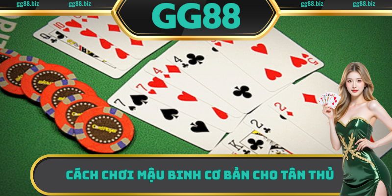 Cách chơi Mậu Binh cơ bản cho những thành viên mới tham gia