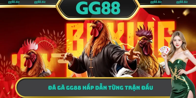 Đá gà GG88 hấp dẫn từng trận đấu