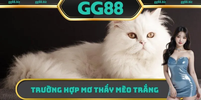 Trường hợp mơ thấy mèo trắng