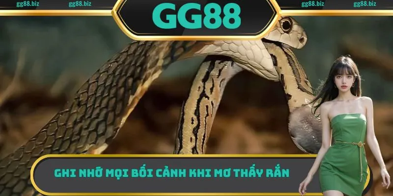 Ghi nhớ mọi bối cảnh khi mơ thấy rắn