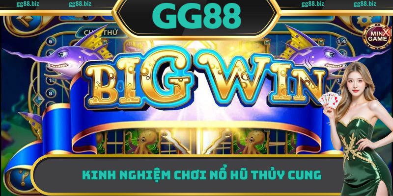 Kinh nghiệm chơi nổ hũ Thủy Cung hiệu quả từ các cao thủ