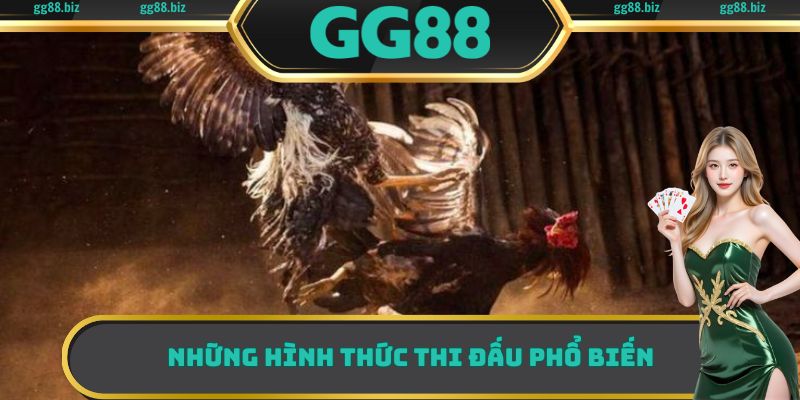 Một vài hình thức thi đấu được nhiều người chơi yêu thích nhất